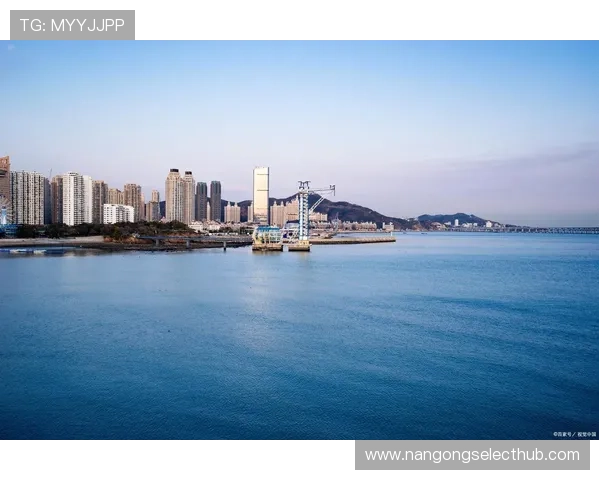 风情与活力交融的海滨城市斯旺西独特魅力全景解读